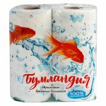 Полотенце бумажное 2 слоя 2 рулона с рисунком в ассортименте Бумландия
