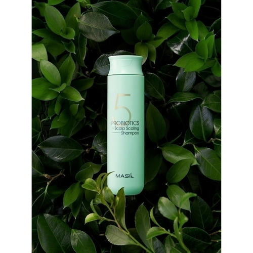 Masil Шампунь глубоко очищающий с пробиотиками - 5 Probiotics scalp scaling shampoo, 150мл — изображение 5