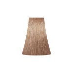 BB ONE, Крем-краска для волос без аммиака Picasso Colour Range 10/13, 100 мл