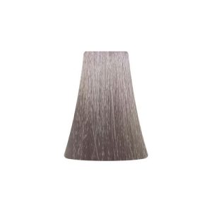 BB ONE, Перманентная крем-краска для волос Picasso Colour Range 10/221, 100 мл