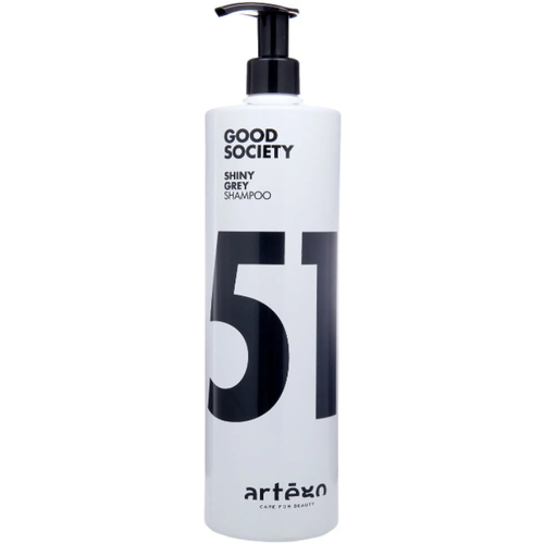 ARTEGO, Серебряный шампунь 51 Specials, 1000 мл