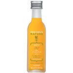 ALFAPARF MILANO, Масло для длинных и прямых волос Long/Straight Hair Oil Precious Nature, 100 мл