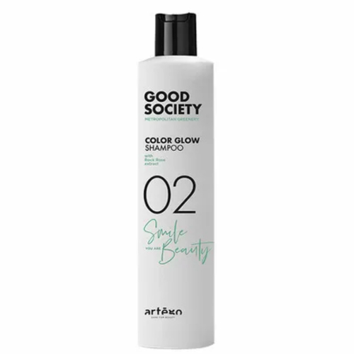 ARTEGO, Шампунь для окрашенных волос 02 Rich Color, 250 мл