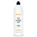Оксидант Intensis Color Art 1,9% 6Vol, 900 мл