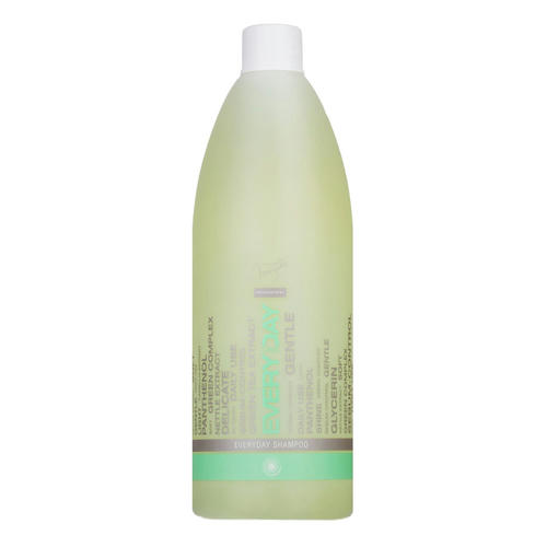 SPA MASTER, Шампунь для ежедневного применения Every Day Shampoo Everyday, 970 мл