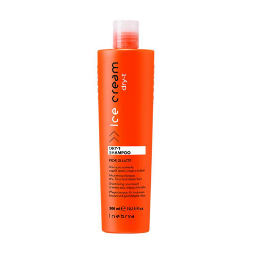 INEBRYA, Шампунь питательный для увлажнения сухих и пористых волос Shampoo Dry-T, 300 мл