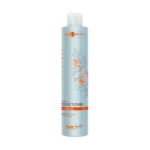 Кондиционер для волос Hair Company Professional Hair Natural Light Bio Argan с аргановым маслом 250мл