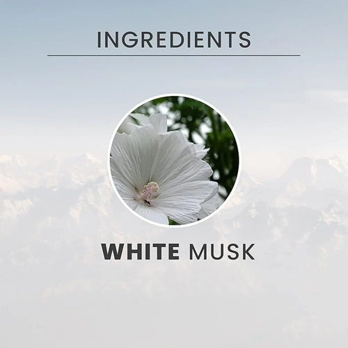Крем-пена для душа Tesori d’Oriente White Musk (Белый Мускус), 500 мл — изображение 2