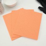 Набор салфеток для уборки Master Fresh Eco Line, влаговпитывающая, антимикробная добавка, 3 шт, цвет оранжевый