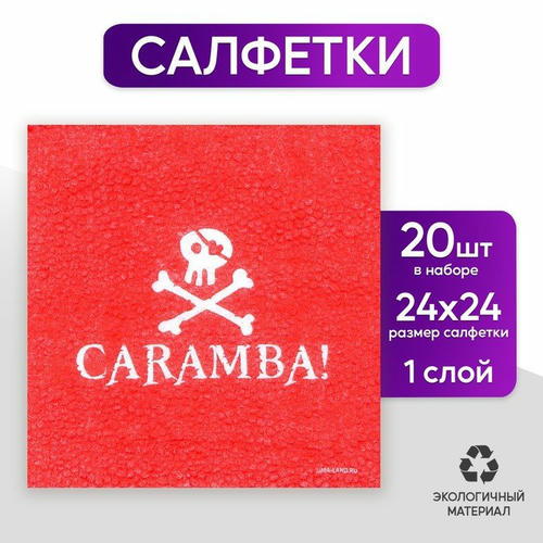 Салфетки бумажные однослойные «Пираты», 24 x 24 см, в наборе 20 шт