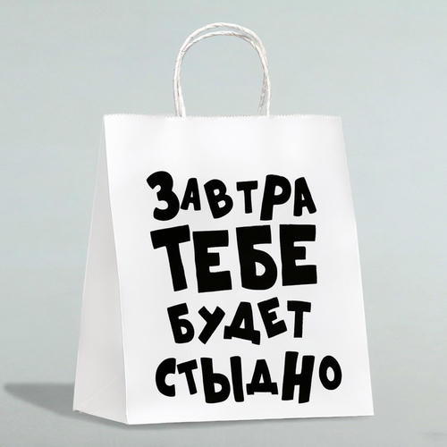 Пакет подарочный «Завтра тебе будет стыдно», 24 х 10,5 х 32 см - 10 шт.